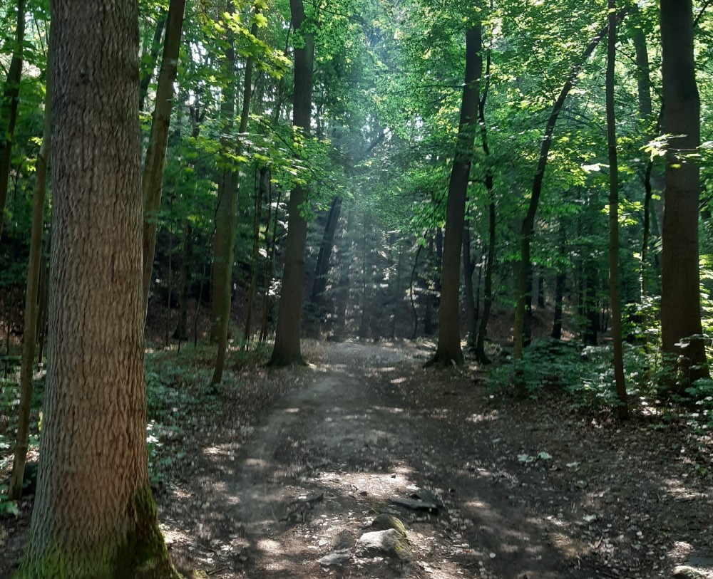Tapering – Regeneration ist der Schlüssel zum Erfolg