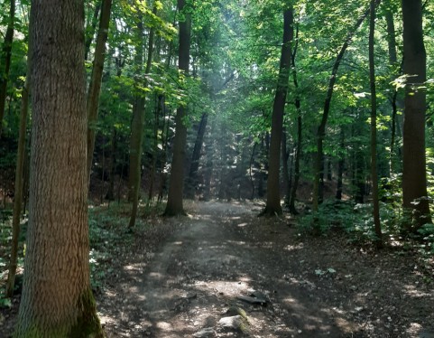 Tapering – Regeneration ist der Schlüssel zum Erfolg