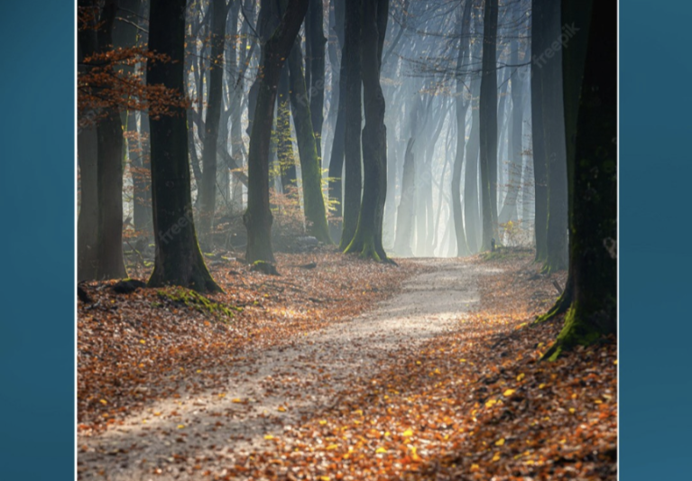 Laufen im Herbst Teil 1 – Auch mal durch Pfützen laufen!